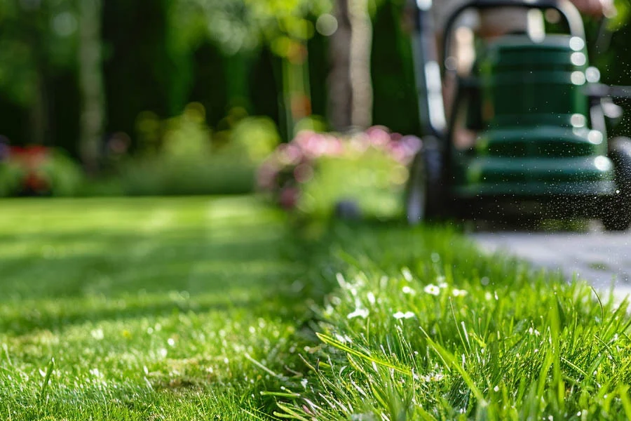 best cordless electric lawn mowers