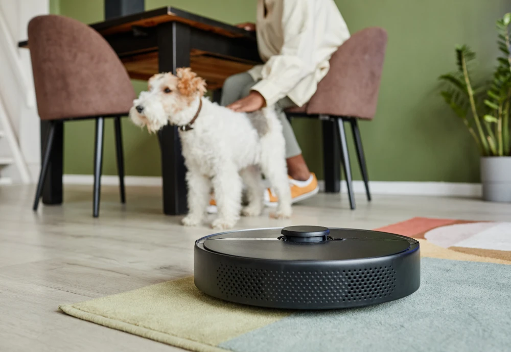 self cleaning robot vacuum and mop